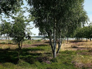 Maison de vacances Virksund  35