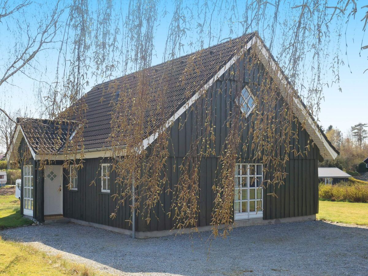 Ferienhaus Hjarbæk Außenaufnahme 8