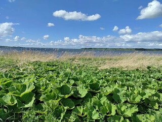 Casa de vacaciones Hjarbæk  37