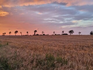 Casa per le vacanze Eskov Strandpark  24
