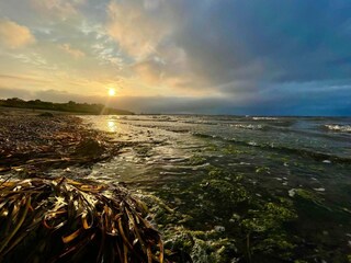 Holiday house Eskov Strandpark  31