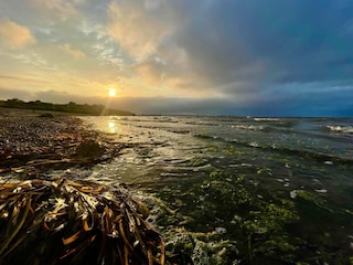 Vakantiehuis Eskov Strandpark  33