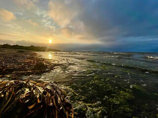 Casa per le vacanze Eskov Strandpark  23