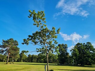 Casa de vacaciones Als  28