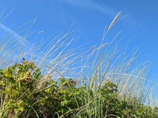 Holiday house Liseleje  35