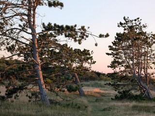 Holiday house Liseleje  37