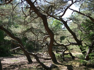 Holiday house Liseleje  38