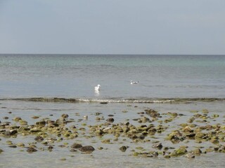 Maison de vacances Liseleje  40