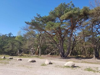 Maison de vacances Liseleje  30