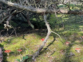 Holiday house Liseleje  24