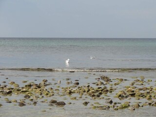 Casa de vacaciones Liseleje  35