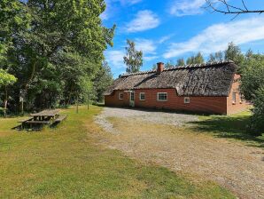 Vakantiehuis 12 persoons vakantie huis in Væggerløse - Marielyst - image1