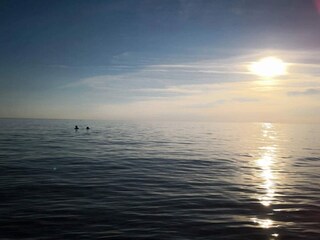 Vakantiehuis Kelstrup Strand  23