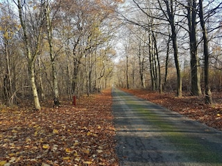 Casa de vacaciones Toftlund  6