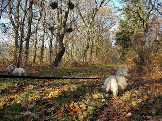 Vakantiehuis Toftlund  19