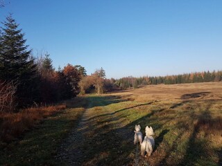Ferienhaus Toftlund  37