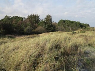 Ferienhaus Bratten Strand  20