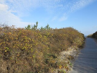 Vakantiehuis Bratten Strand  21