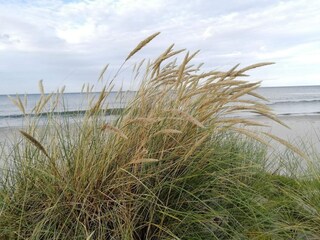 Ferienhaus Bratten Strand  24