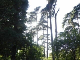 Apartment Bogense  19