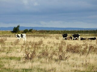 Apartamento Bogense  32