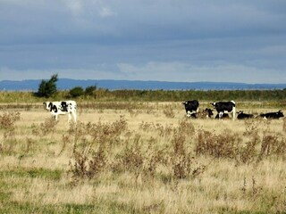 Appartement Bogense  19