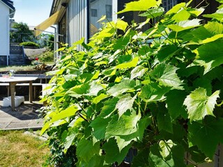 Casa de vacaciones Göteborg Grabación al aire libre 6