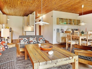 Ferienhaus Asnæs  6