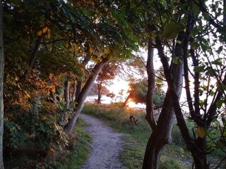 Maison de vacances Asnæs  18