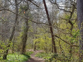 Ferienhaus Asnæs  20