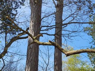 Maison de vacances Asnæs  21
