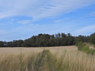 Ferienhaus Asnæs  22