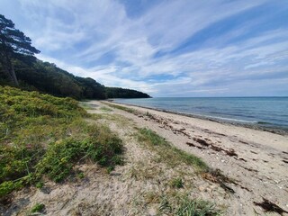 Ferienhaus Asnæs  32