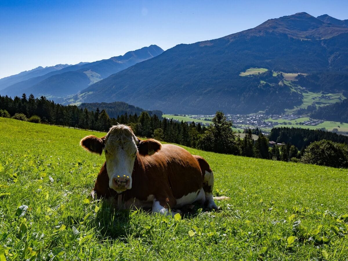 Apartment Mühlbach im Pinzgau Outdoor Recording 1