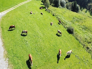 Apartment Mühlbach im Pinzgau Außenaufnahme 5