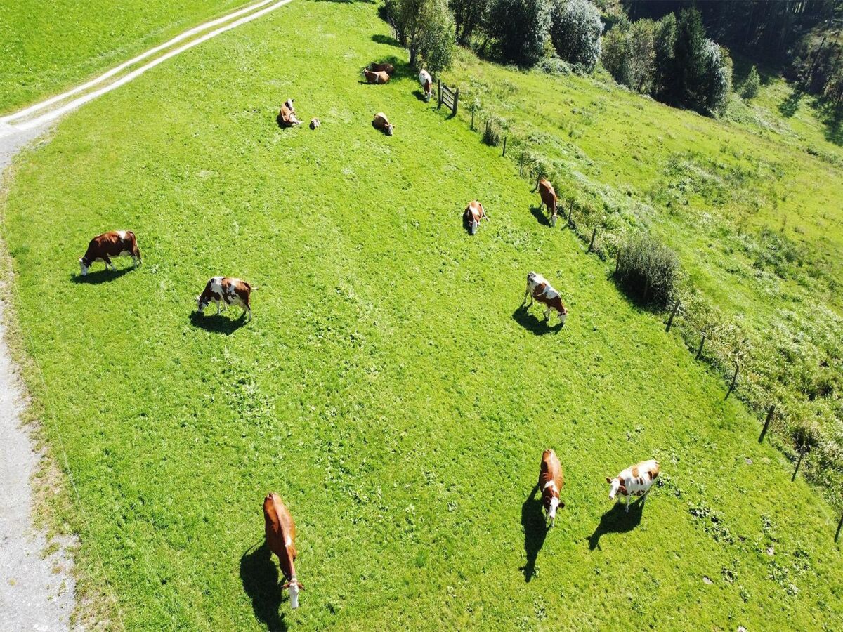 Appartement Mühlbach im Pinzgau Buitenaudio-opname 1