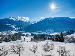 Apartment Mühlbach im Pinzgau Umgebung 21
