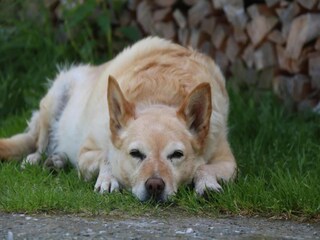 Apartment Mühlbach im Pinzgau  27