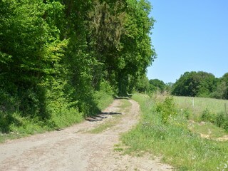 Vakantiehuis Gesves Omgeving 30