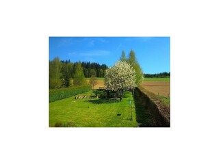 Ferienhaus Vielsalm Außenaufnahme 11