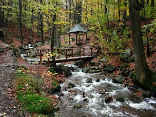 Ferienhaus Spa Umgebung 33