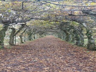 Casa per le vacanze Spa Ambiente 30