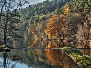 Casa per le vacanze Spa Ambiente 31
