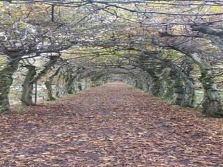 Vakantiehuis Spa Omgeving 33