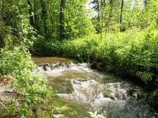Vakantiehuis Robertville Omgeving 33