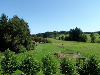 Boerderij Vielsalm Buitenaudio-opname 6