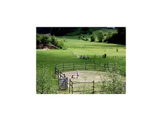 Farmhouse Vielsalm Outdoor Recording 7