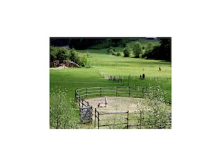 Bauernhof Vielsalm Außenaufnahme 7