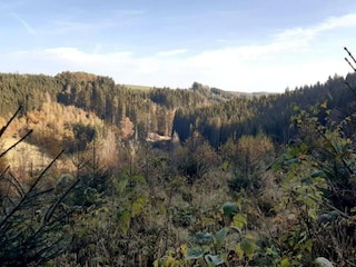 Bauernhof Vielsalm Umgebung 37