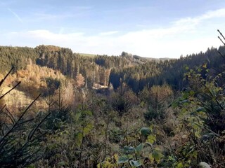 Type de propriété : Ferme Vielsalm Environnement 37